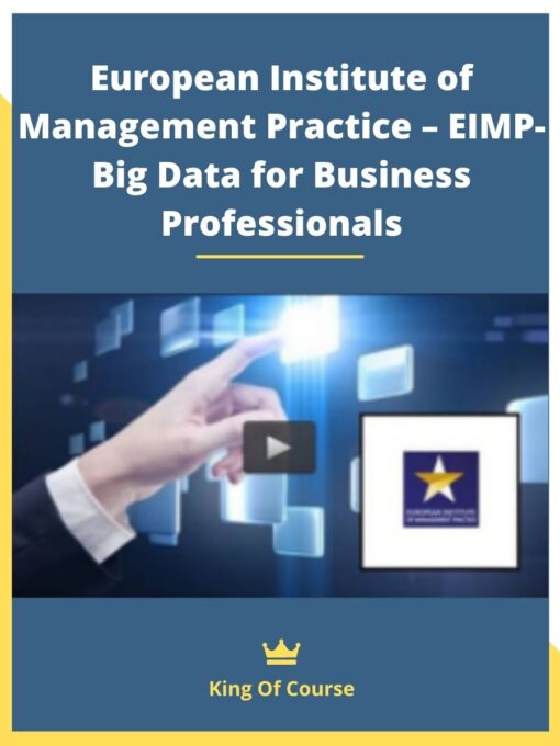 European Institute of Management Practice – EIMP- Big Data for Business Professionals