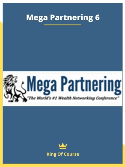 Mega Partnering 6