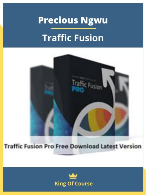 Precious Ngwu – Traffic Fusion