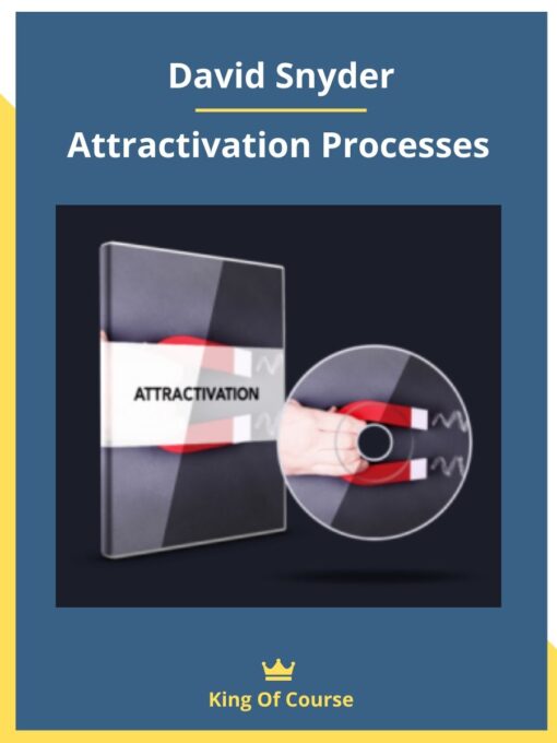 David Snyder – Attractivation Processes