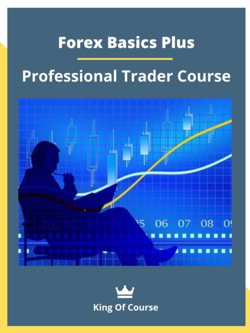 Forex Basics Plus – Professional Trader Course