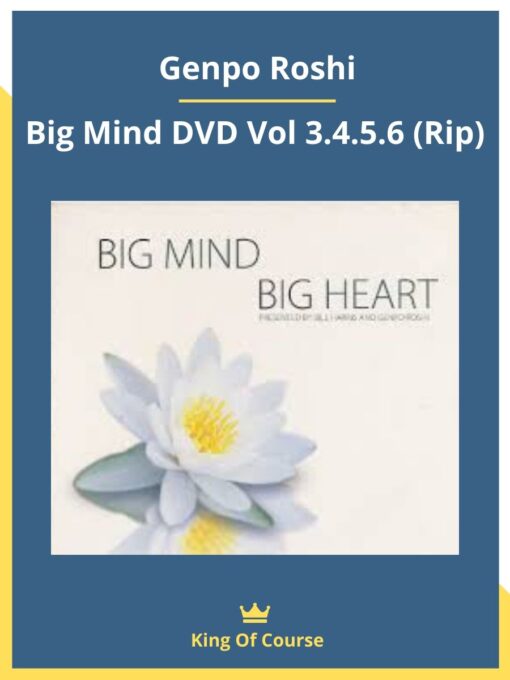 Genpo Roshi – Big Mind DVD Vol 3.4.5.6 (Rip)