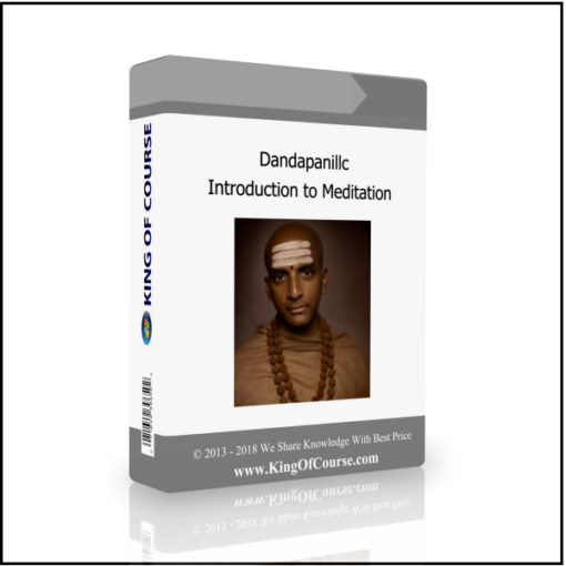 Dandapanillc – Introduction to Meditation