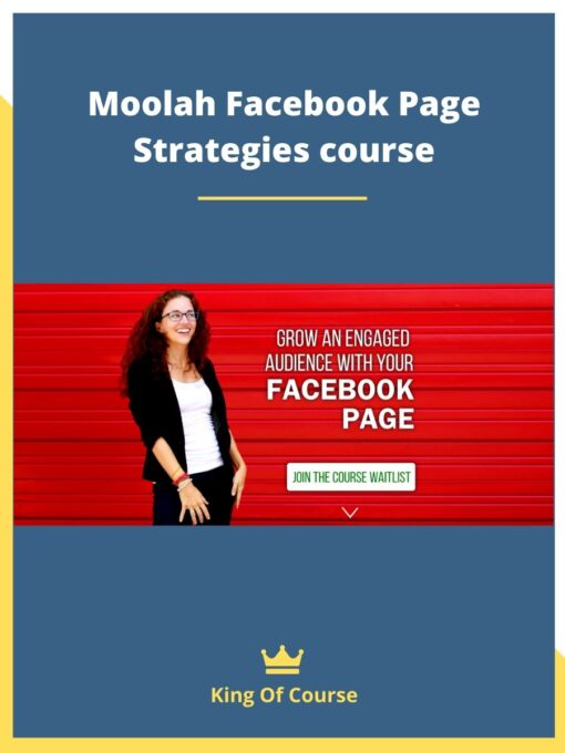Moolah Facebook Page Strategies course