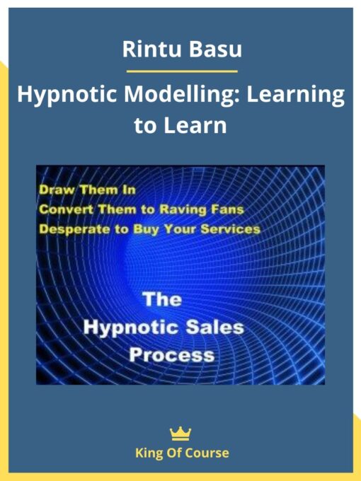 Rintu Basu – Hypnotic Modelling: Learning to Learn