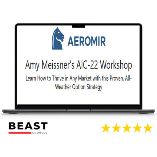 Aeromir – Amy Meissner’s AIC-22 Workshop
