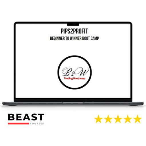 Pips2Profit – Beginner To Winner Boot Camp